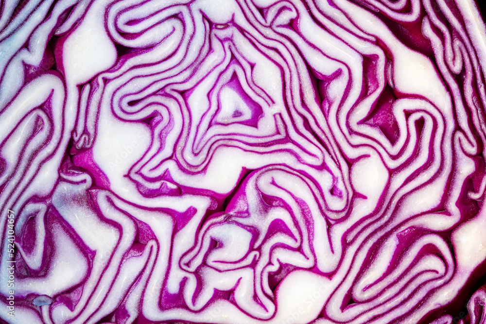 Macro Purple Cabbage,Macro shot of purple cabbage texture. Food background. Close-up macro view of red cabbage, scotch kale, high resolution. Organic food. View from above. Copy space. Vertical shot. Macro Purple Cabbage,Macro shot of purple cabbage texture. Food background. Close-up macro view of red cabbage, scotch kale, high resolution. Organic food. View from above. Copy space. Vertical shot.