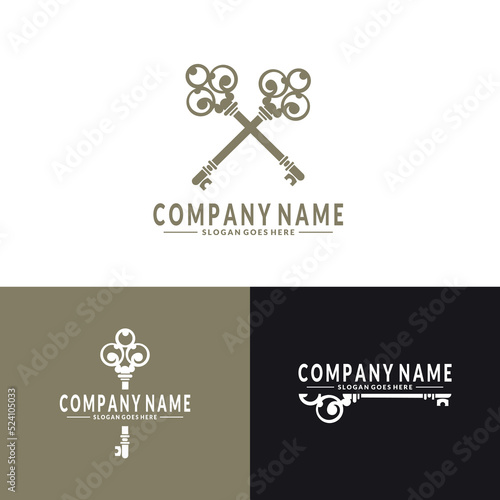 Key logo. for House Estate business logo design