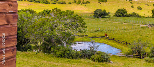 Countryside landscape uruguay photo