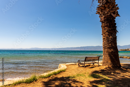 empty bench on the beach , palm tree
