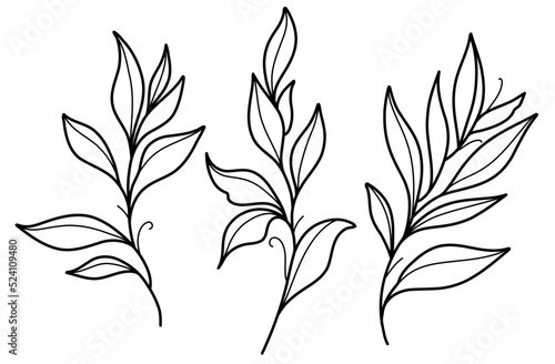 Leaf branch editable outline black and white vector SVG line art
