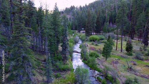 Aerial view of the Colorado river surrounded by trees in Greer, Arizona photo