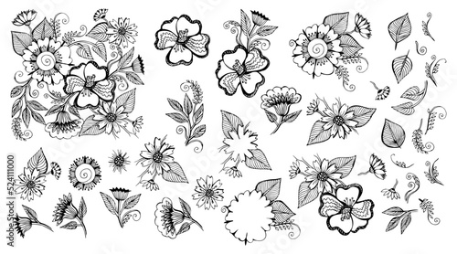 Flowers and leaves hand drawn set. Floral branches linear Sketch vector illustration on white background