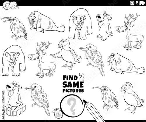 find two same animal characters task coloring page