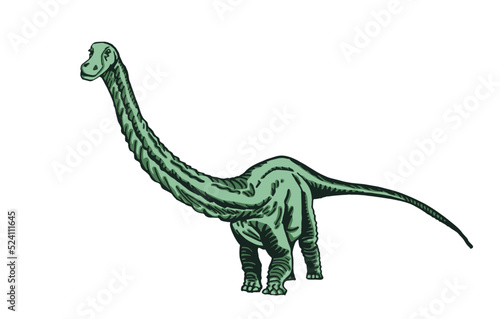 Vector color  diplodocus isolated on white background, graphical illustration of dinosaur