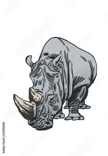 Vector color  illustration of rhino isolated on white background, grey rhinoceros 
