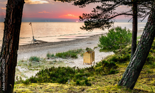 Sandy beach and forest dune area of the Baltic Sea at dawn. Concept of happy,...