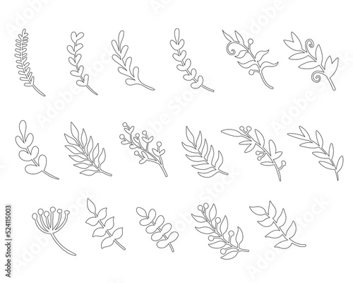 Set of line leaves. Abstract botanical vector illustration.
