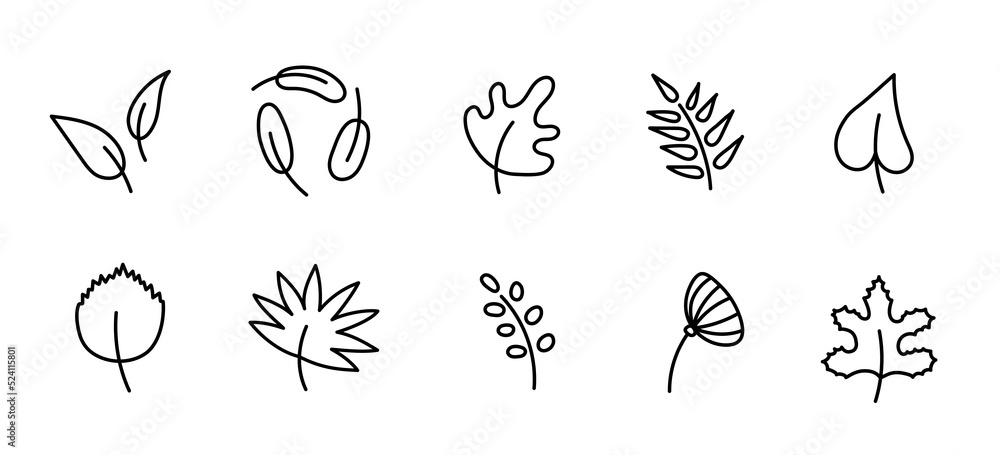 Fototapeta premium Vector set of autumn leaves. Various autumn leaves in doodle style. Rowan, maple, oak, elm, poplar, birch, American linden and willow leaves. Design elements for autumn banner, poster, cards, prints