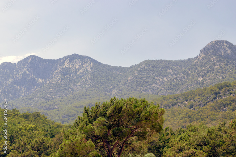 mountains in the morning