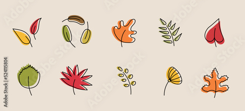 Colorful autumn leaves set, isolated on white background. Simple doodle flat style, vector illustration. Autumn leaves vector set for fall seasonal elements with maple and oak leaf