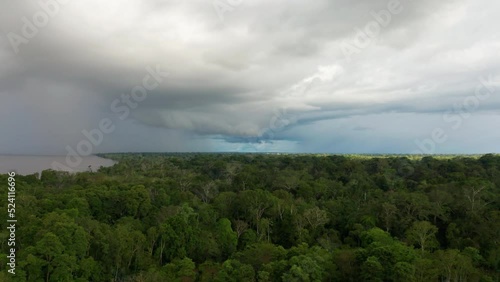 4k Aerial shot for amazon river and the rain forest in brazil rainforest. shot on MAVIC 2 PRO hasselblad rendered prores 422HQ REC709