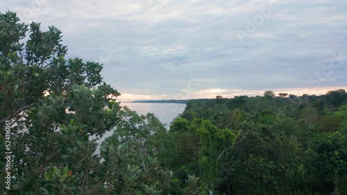 4k Aerial shot for amazon river and the rain forest in brazil rainforest. shot on MAVIC 2 PRO hasselblad rendered prores 422HQ REC709