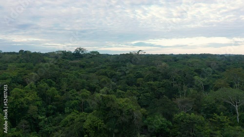 4k Aerial shot for amazon river and the rain forest in brazil rainforest. shot on MAVIC 2 PRO hasselblad rendered prores 422HQ REC709