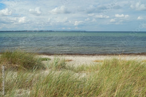 Fototapeta Naklejka Na Ścianę i Meble -  Vue sur la mer baltique depuis une plage sauvage du nord de l'Allemagne