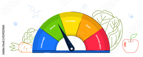 Body Mass Index BMI 5 Ranges Obesity, underweight and extremely obese scales Body weight Heart rate Measurement and height Control body weight BMI Medical chart flat vector illustration concept photo