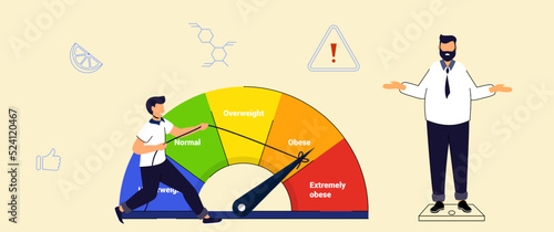 Body Mass Index BMI 5 Ranges Obesity, underweight and extremely obese scales Body weight Heart rate Measurement and height Control body weight BMI Medical chart flat vector illustration concept photo