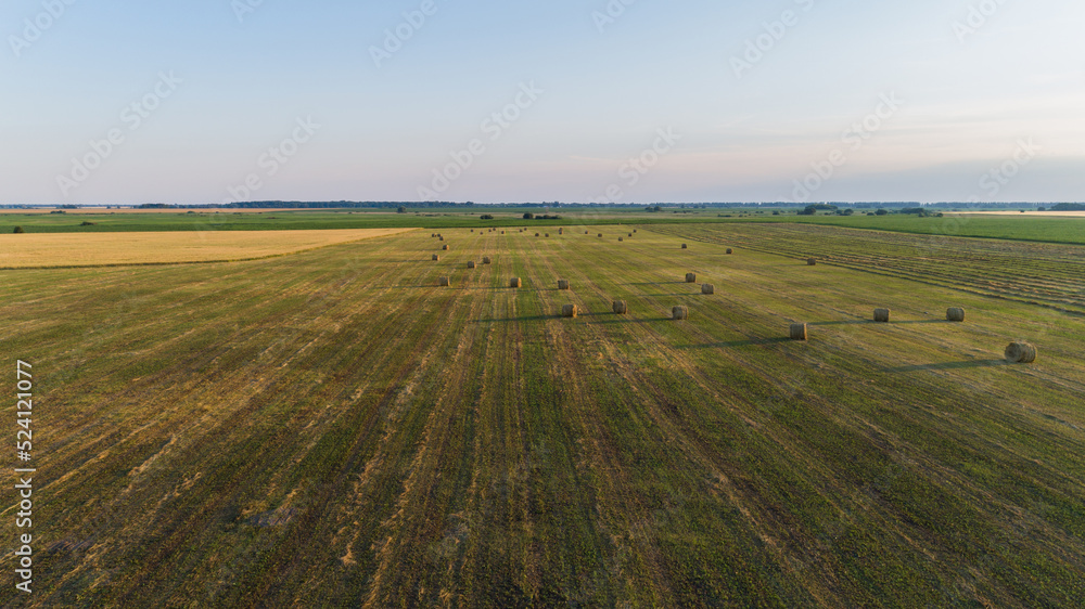 Aerial view hay bales at agricultural field in summer at sunset. Drone shot haystack and harvesting dry grass for agriculture. Flying over round bales hay. Farmers season to cut and harvest crops