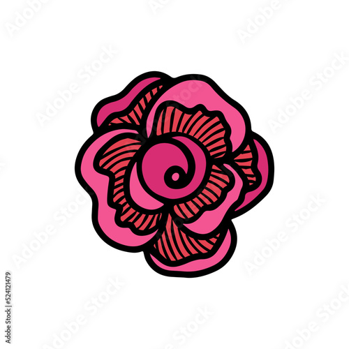 Rose flower head. Floral botanical flower. Hand drawn ink art. Isolated rose illustration element isolated on white.