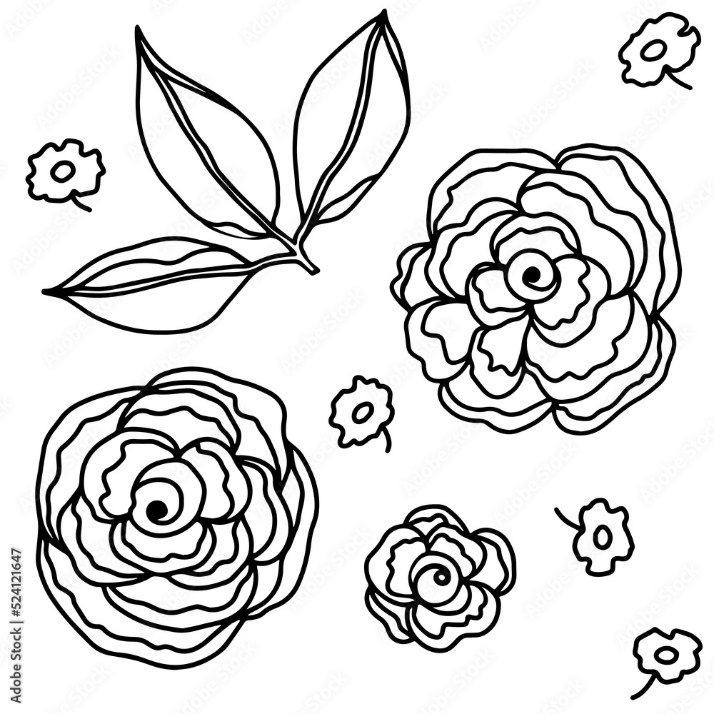 Rose flower head and leaves set. Floral botanical flower. Hand drawn ink art. Isolated rose illustration element isolated on white. Rose flower head and leaves set. Floral botanical flower. Hand drawn ink art. Isolated rose illustration element isolated on white.