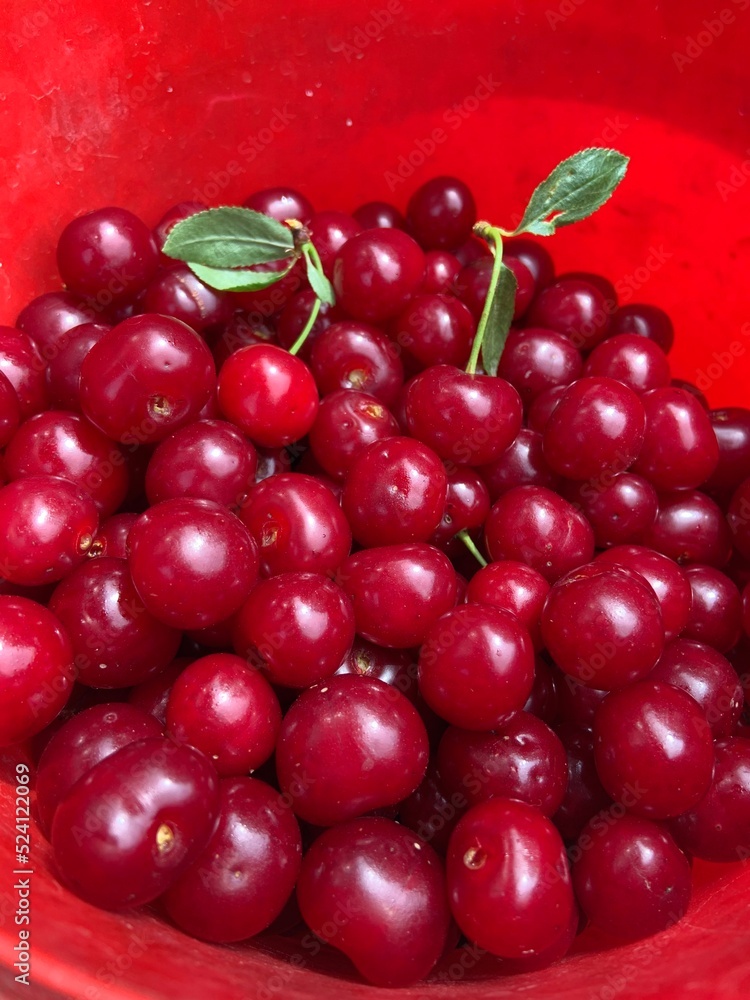 red cherries background