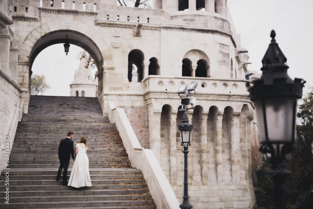 Beautiful wedding couple climbing up a gorgeous stairs holding hands and looks to each other