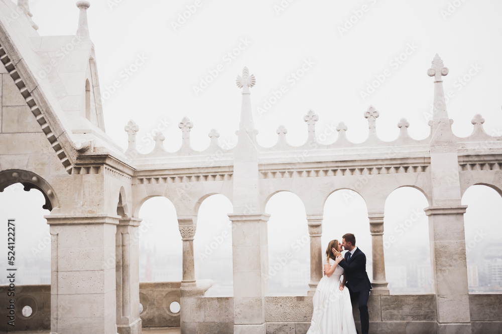 Beautiful bride and groom embracing and kissing on their wedding day outdoors