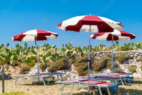 Fototapeta Naklejka Na Ścianę i Meble -  Beach umbrella and cactus at the beach against blue sky ready for vacations. - Bari, Puglia, Italy
