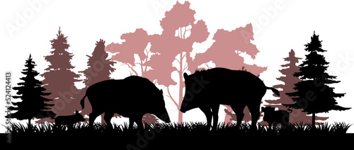 Wild boar family at edge of coniferous forest. Animal in natural habitat. Wild pig illustration. Isolated on white background. Vector.