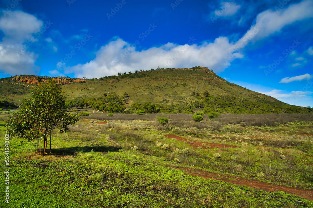 Landscape at Dutchmans Stern Conservation Park near Quorn, Flinders Range, South Australia. This is a popular destination for hikers.
