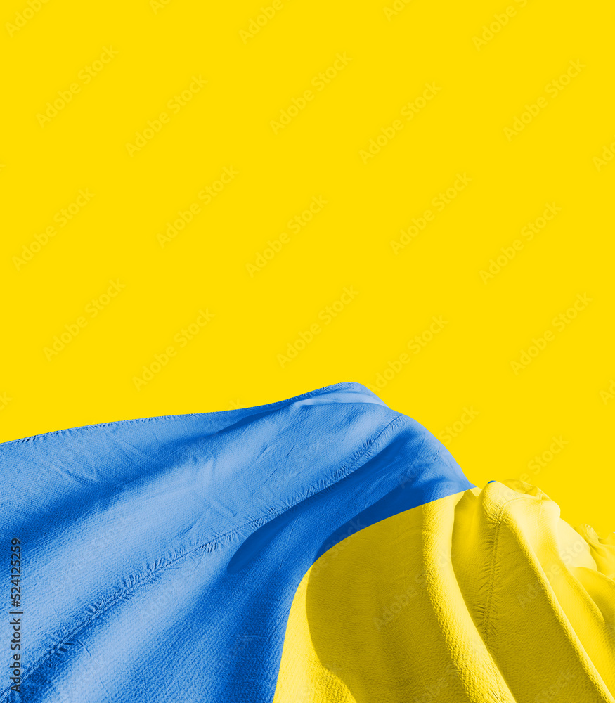 Ukraine national flag cloth fabric waving - Image