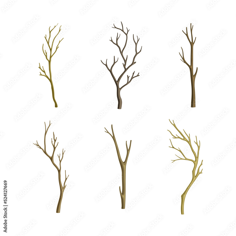 Bare Tree Branch or Twigs with Naked Stem and Snag Vector Set