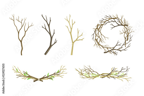Bare Tree Branch Tied in Semi Circle and Wreath Vector Set