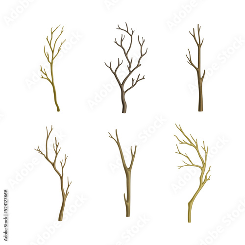Bare Tree Branch or Twigs with Naked Stem and Snag Vector Set