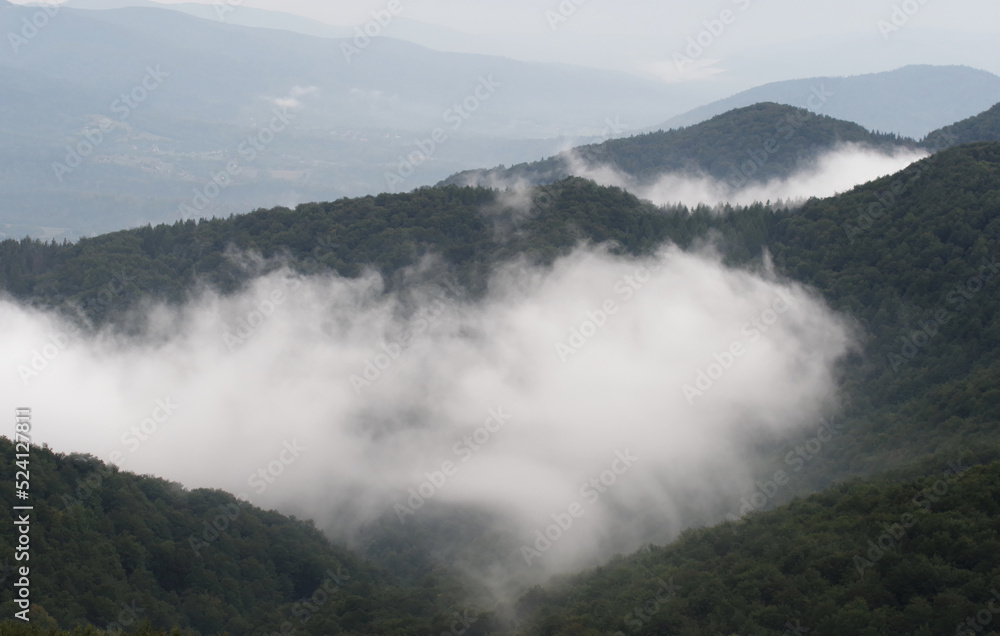 Mgły w górach po deszczu.