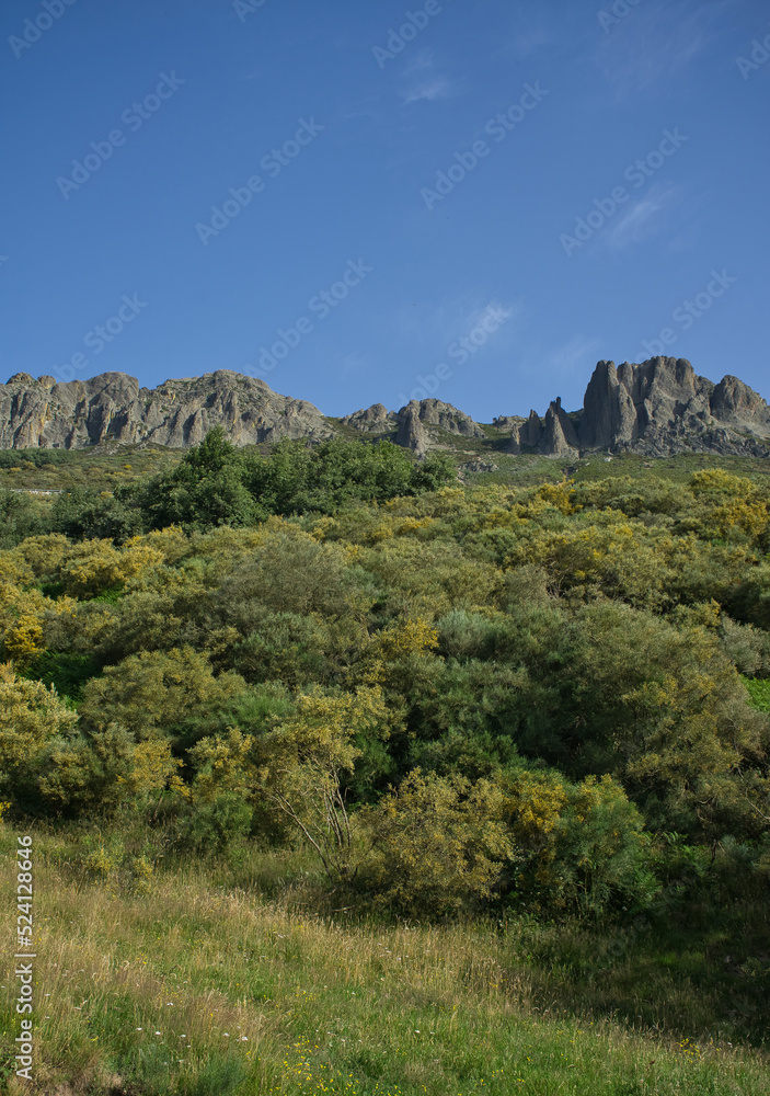 Panoramic views in a rural environment, mountain landscape with many trees and blue sky. Valdeón viewpoint, Picos de Europa, Castilla y Leon, Spain.