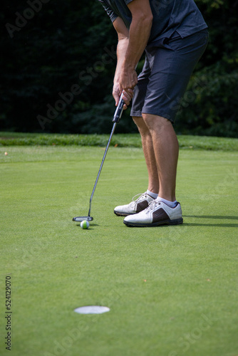 golfer putting a ball into a hole on the green