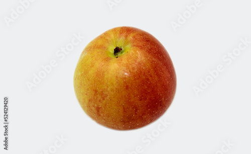 An Gala apple, a widely grown apple cultivar