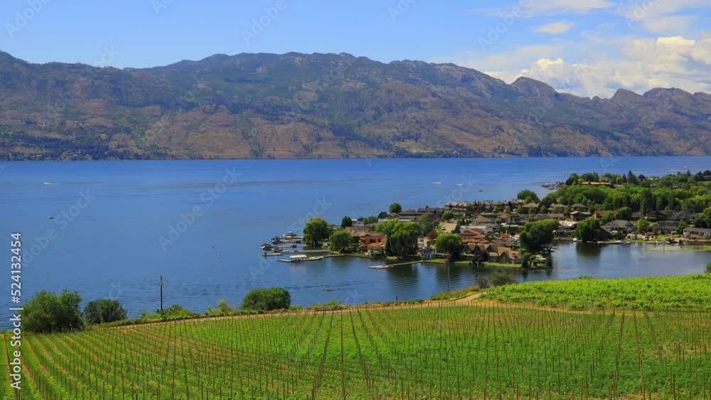 Westbank West Kelowna Okanagan Lake Vineyard Westbank West Kelowna Okanagan Lake Vineyard