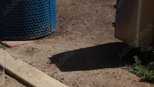 Wallpaper Mural Turtle Trails Off into Distance Torontodigital.ca