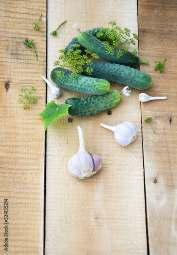 vegetables cucumbers dill branches and garlic on wooden boards selective focus top view