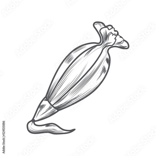 pastry bag icing kitchen icon