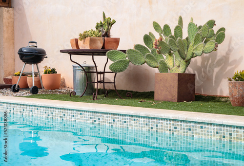 green succulents or cactus and barbecue with a pool in the background photo