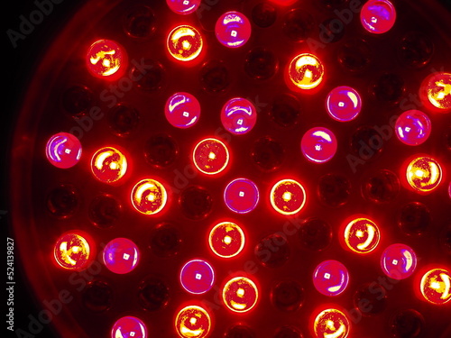 Infrared Light Equipment used for Anti Aging and to Treat Pain from Diseases such as Lupus, Arthritis, Fibromyalgia, etc. and for Injuries and Muscle Recovery