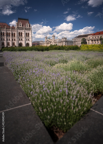 Famous Hungarian Parliament...