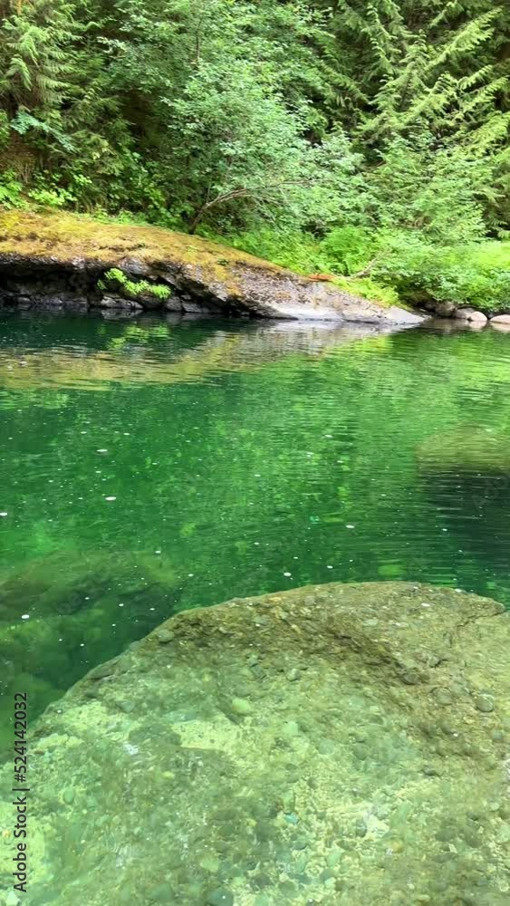 Beautiful Englishman River Waterfalls upper section , Parksville, British Columbia, Canada . High quality photo Beautiful Englishman River Waterfalls upper section , Parksville, British Columbia, Canada . High quality photo