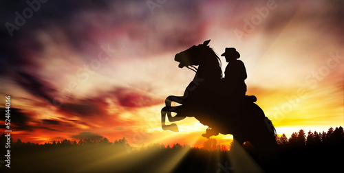 Papier peint Silhouette of cowboy rearing his horse at sunset