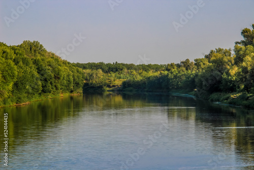 lake in the forest