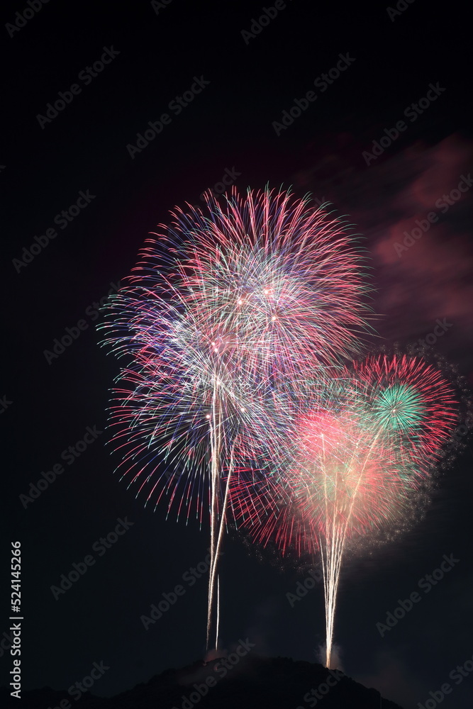 夏の夜空を彩る花火　（高知県　高知市　筆山）