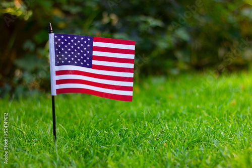 close up flag of USA on green grass with copy space. national symbol of the country